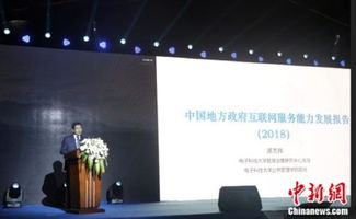 大數(shù)據(jù)驅(qū)動下的政府互聯(lián)網(wǎng)服務(wù)能力評估新范式